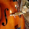 低音提琴