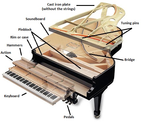 Piano Components.jpg